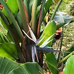Casa Do Campo *