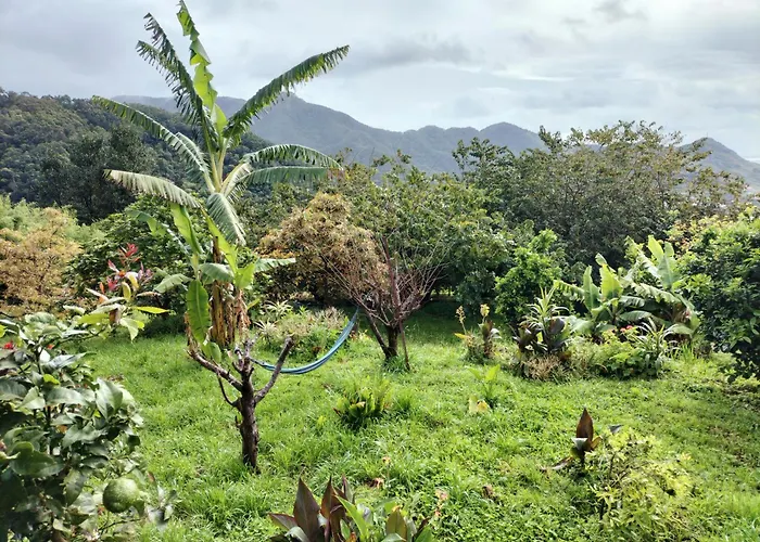 Apartamento Casa Do Campo Machico (Madeira)