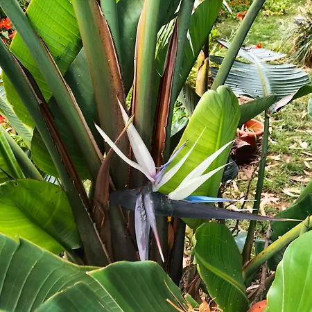 Casa Do Campo *